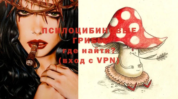 спайс Алексеевка