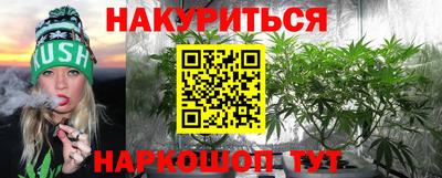 дмт Будённовск