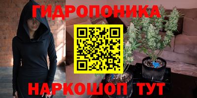 прущая мука Будённовск
