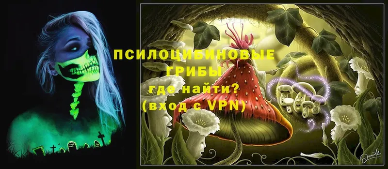 Галлюциногенные грибы Magic Shrooms  Каменск-Уральский 