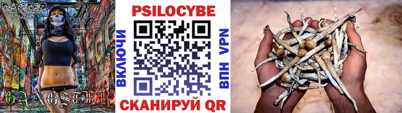 Галлюциногенные грибы Magic Shrooms  хочу   Каменск-Уральский 