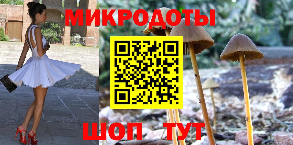 Галлюциногенные грибы Psilocybe Каменск-Уральский