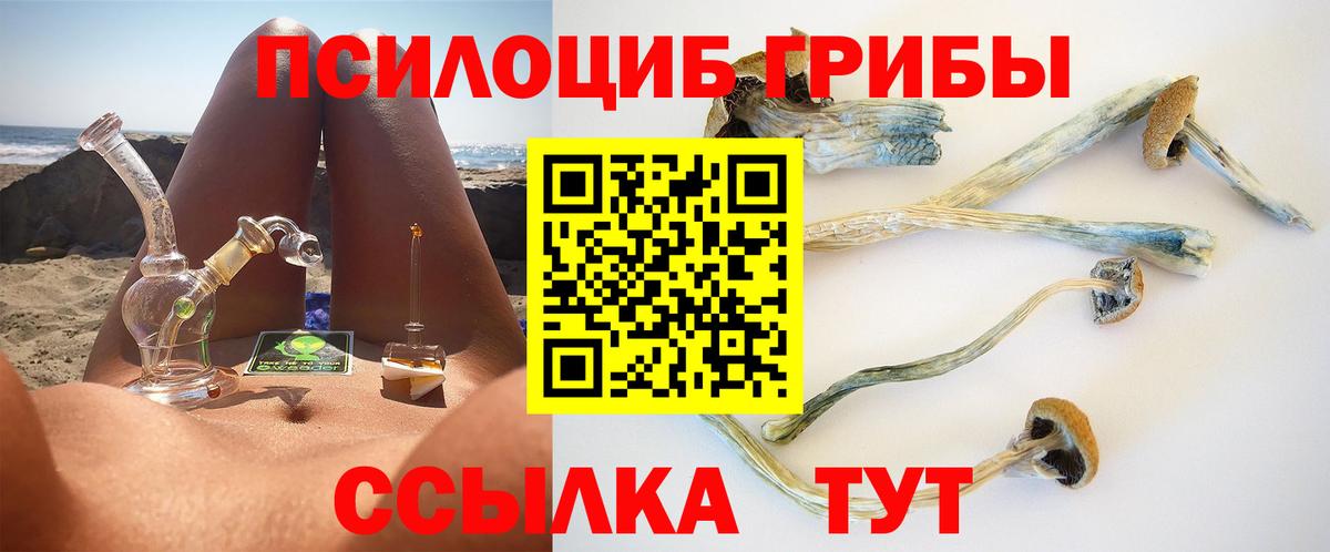 Галлюциногенные грибы MAGIC MUSHROOMS Каменск-Уральский