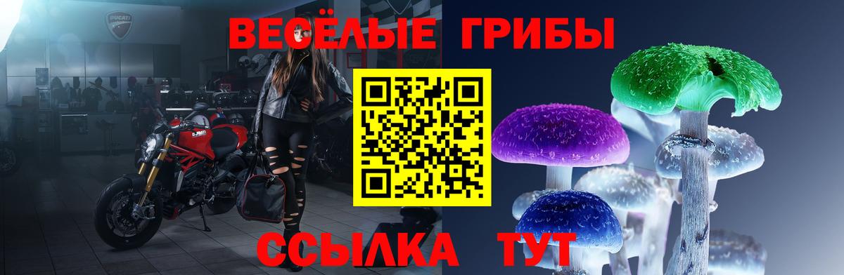 Псилоцибиновые грибы прущие грибы  купить   Каменск-Уральский 