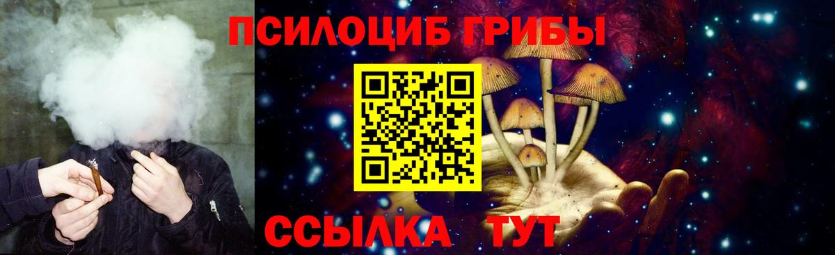 Галлюциногенные грибы GOLDEN TEACHER  Вход с VPN  Каменск-Уральский  Псилоцибиновые грибы мицелий 
