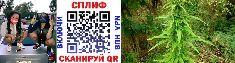 где купить наркотик  blacksprut зеркало  Бошки Шишки сатива  darknet клад  Каменск-Уральский 